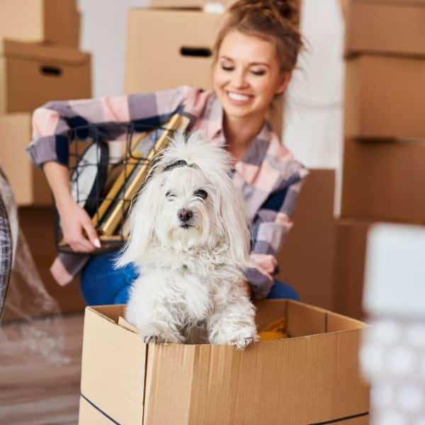 Woman and puppy packing while we are preforming a move out cleaning in Kalamazoo, MI